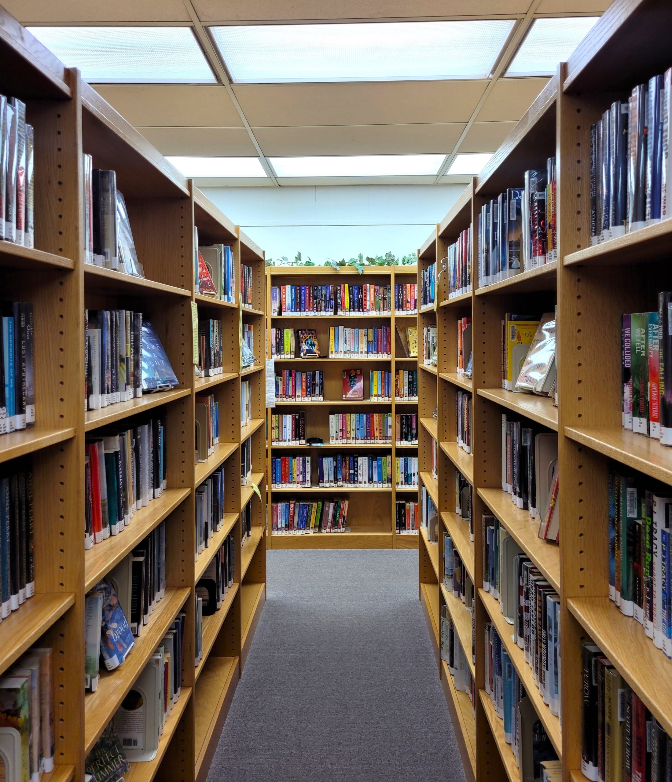 In_the_stacks_book_aisle An aisle of bookshelves in a library space